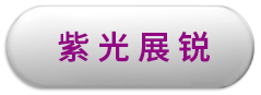 bg大游集团展锐