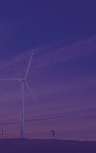 BG大游(集团)唯一官方网站